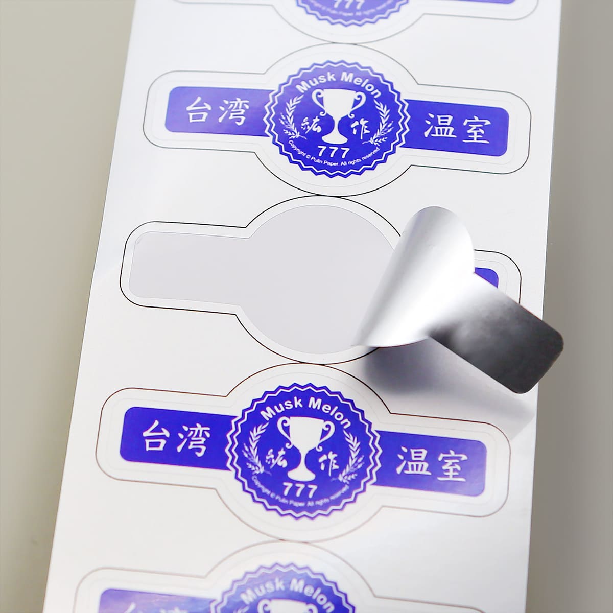 反銀龍彩印